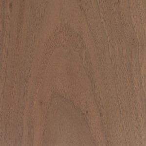 American walnut timber